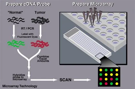 DNA MICROARRAY: PRINCIPLE, TYPES, PROCEDURE AND APPLICATIONS - The ...