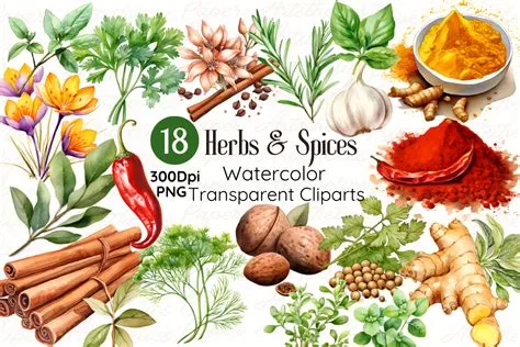 Herbs And Spices Clipart