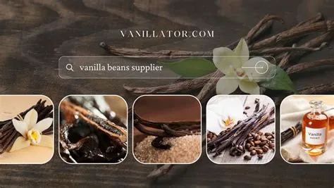 Vanilla Beans Direct from Farm Wholesale: A Guide for Buyers ...