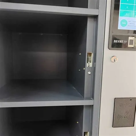 Smart PIN Face Recognition Locker Modern Metal Express Storage Cabinet ...