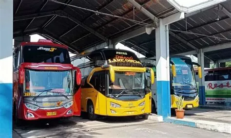 Rute Angkutan dari Terminal Tawang Alun Jember, Kemana Aja?