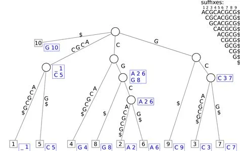 Exercise sheet 8: Suffix-Trees