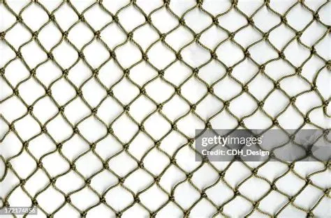 Fishing Net Pattern Nylon Green Fishing Net At Best Price In Surat By