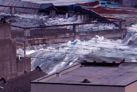 Tohoku Earthquake and Tsunami