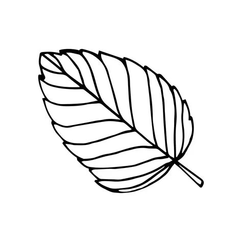 Simple hand drawn doodle. Strawberry leaf. Leave silhouette vector for ...