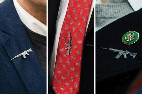 Why Some Members of Congress Are Wearing AR-15 Pins | Time
