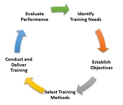 Training and Development - Definition, Importance, Process & Example ...