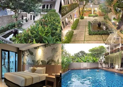 Home - The Faisol Times