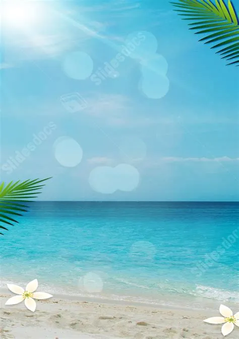 Beach Borders For Word Documents