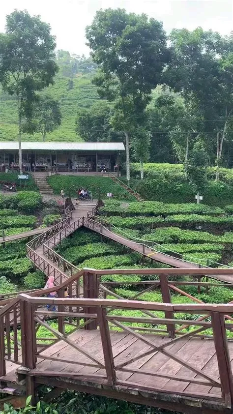 GUNUNG GAMBIR JEMBER JATIM | Ide perjalanan, Pemandangan yang indah ...