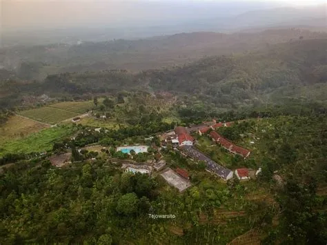 Paket Aksi Java Lotus Hotel Jember featuring Half Day Tour Bukit ...