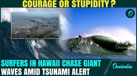 TSUNAMI STRIKES HAWAII: Surfers IGNORE Police - One News Page VIDEO