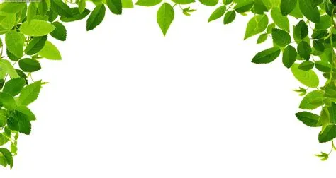 Free Tree Frame Cliparts, Download Free Tree Frame Cliparts png images ...