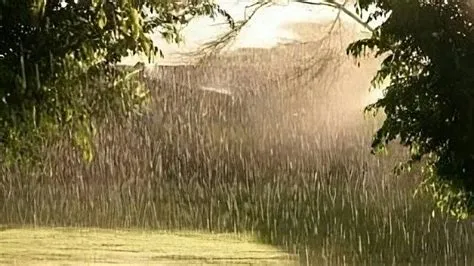 Siang Panas, Sore dan Malam Hujan? Ini Penjelasan BMKG - Tribuntoraja.com