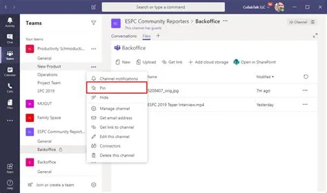 How Do I Pin A Channel In Teams at Kathleen Campion blog