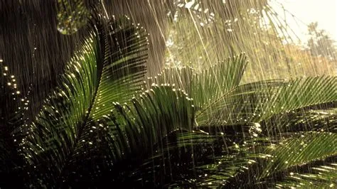 🔥 [80+] Nature Rain Wallpapers | WallpaperSafari