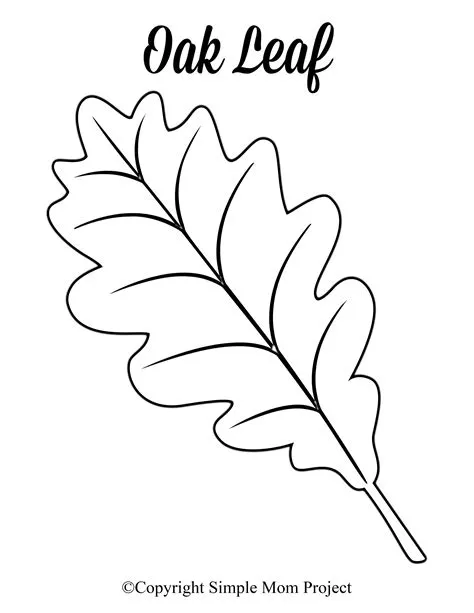 Free Printable Leaf Stencils Web These Free Printable Leaf Templates ...