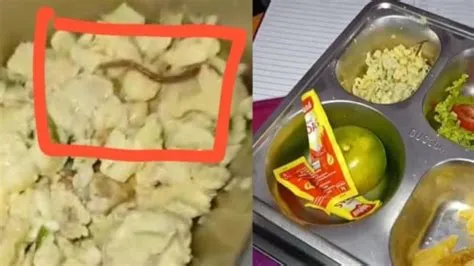 Geger Makanan MBG di SMAN 6 Medan Diduga Ditemukan Cacing Hidup, Begini ...