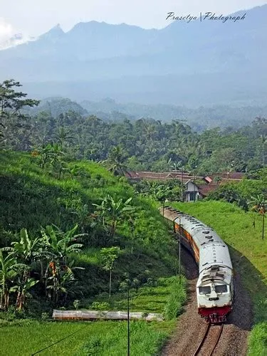 Elevation map of Jember Regency, East Java, Indonesia - MAPLOGS
