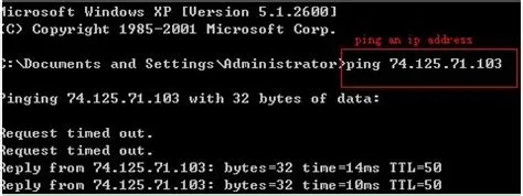 How to Use the Ping Command - MERCUSYS