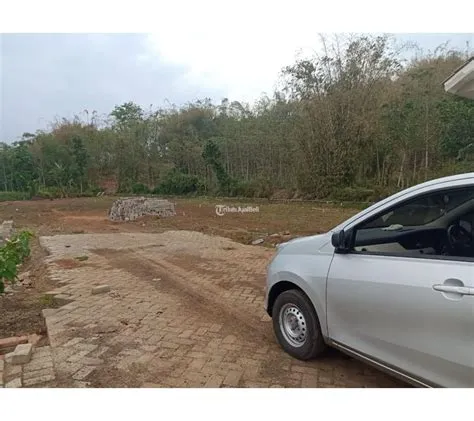 Jual Kavling Hanya 900 Ribuan Per Meter Lahan Di Bintoro Patrang di ...