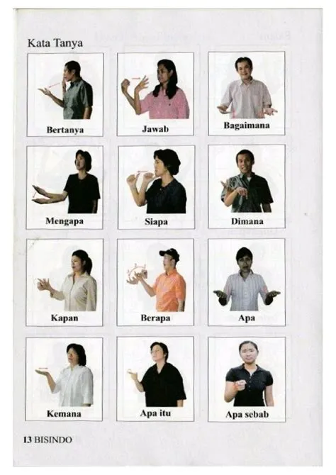 oleh Kasper di BISINDO | Bahasa tubuh, Bahasa isyarat, Belajar sosial